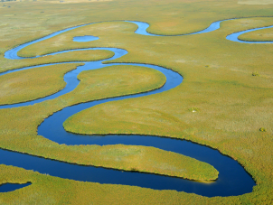 winding rivers